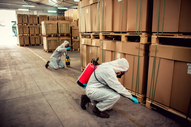 Trusted Surgoinsville, TN Pest Control Experts