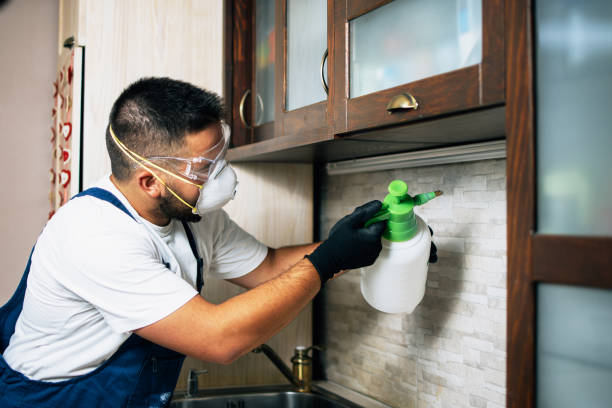 Best Insect Control  in Surgoinsville, TN
