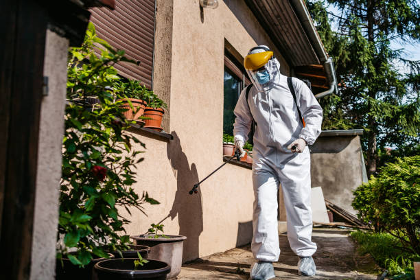 Best Mosquito Control Services  in Surgoinsville, TN