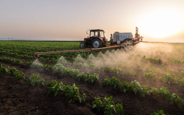 Best Mosquito Control Services  in Surgoinsville, TN