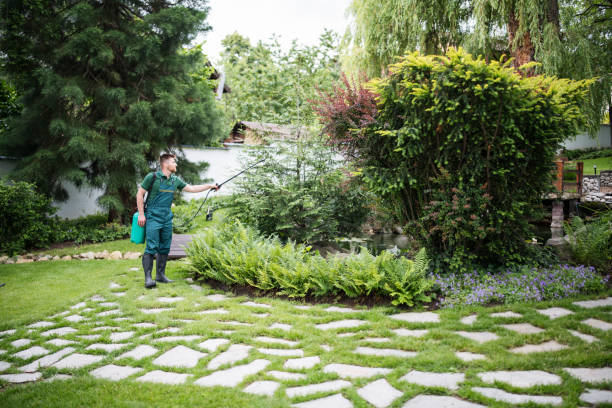 Best Ant Control Services  in Surgoinsville, TN