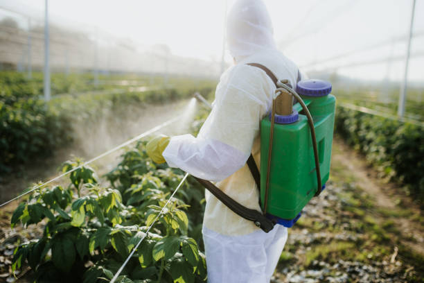 Best Commercial Pest Control Services  in Surgoinsville, TN